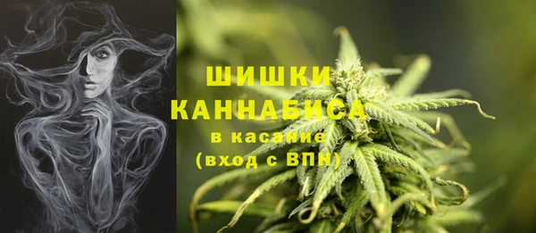 Альфа ПВП Горняк