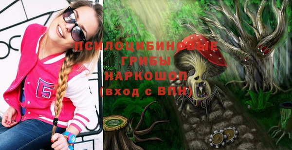 Альфа ПВП Горняк