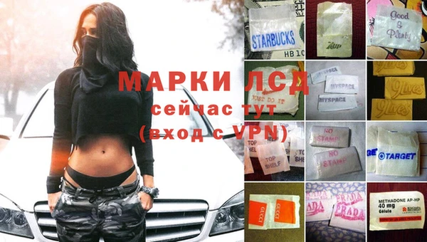 Альфа ПВП Горняк