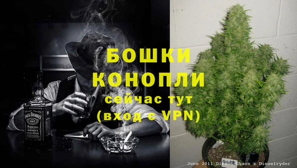 кокс Гусиноозёрск