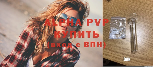Альфа ПВП Горняк