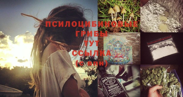 меф Горно-Алтайск
