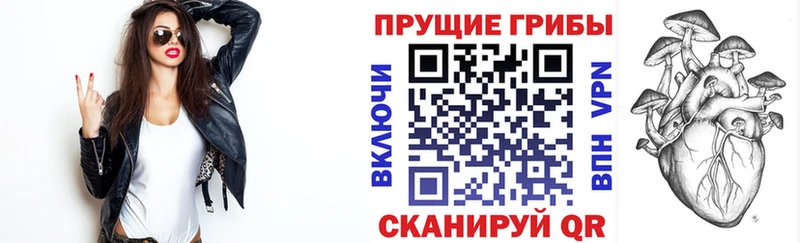 Псилоцибиновые грибы MAGIC MUSHROOMS купить наркотик Дубна